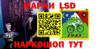 крисы Кулебаки