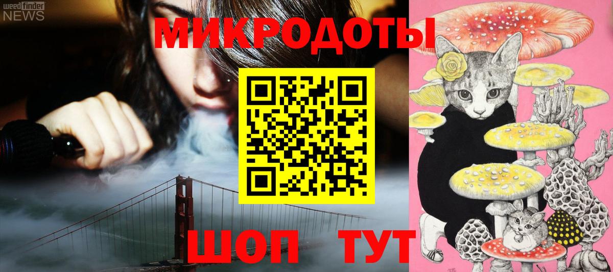 Галлюциногенные грибы Psilocybine cubensis  Вход с VPN  Качканар 